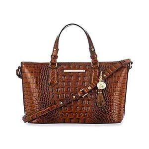 Brahmin Mini Asher Satchel